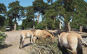 Omena Hotel Helsinki Lönnrotinkatu